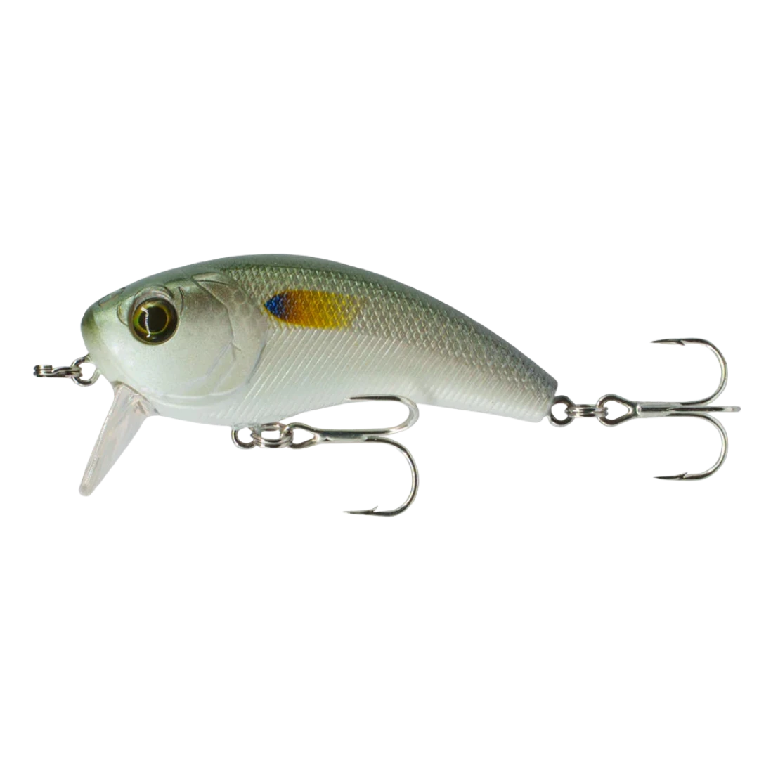6th Sense Fishing Movement 60WK Saltwater Wake Bait
