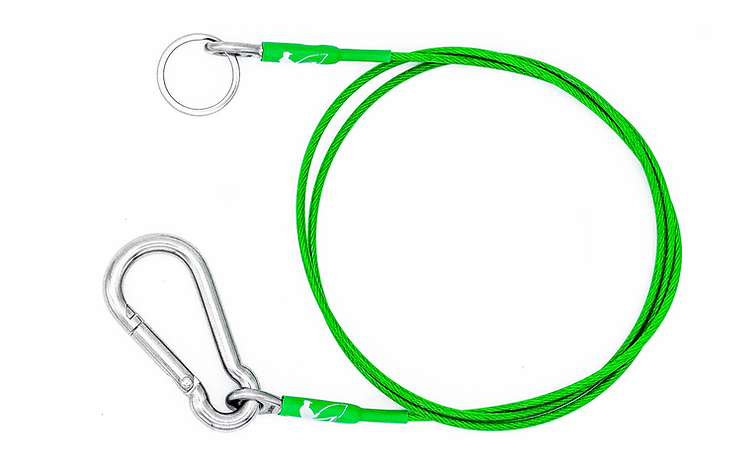 Landers 24" Green Leash