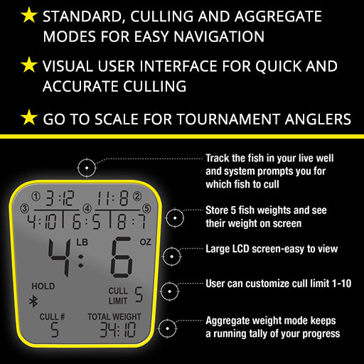 Catch Commander Scale
