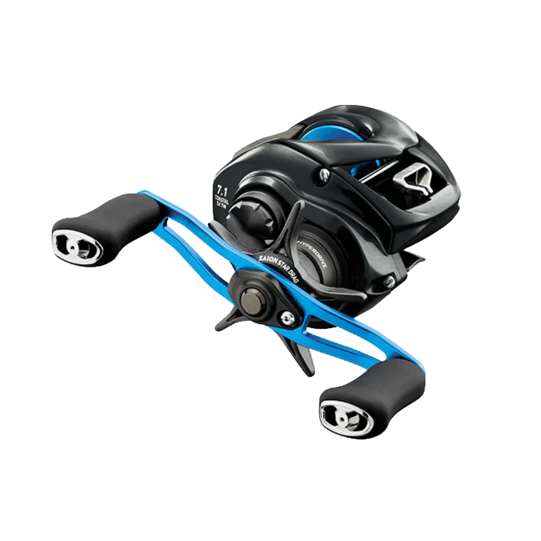 Daiwa 24 Coastal SV TW 150HL