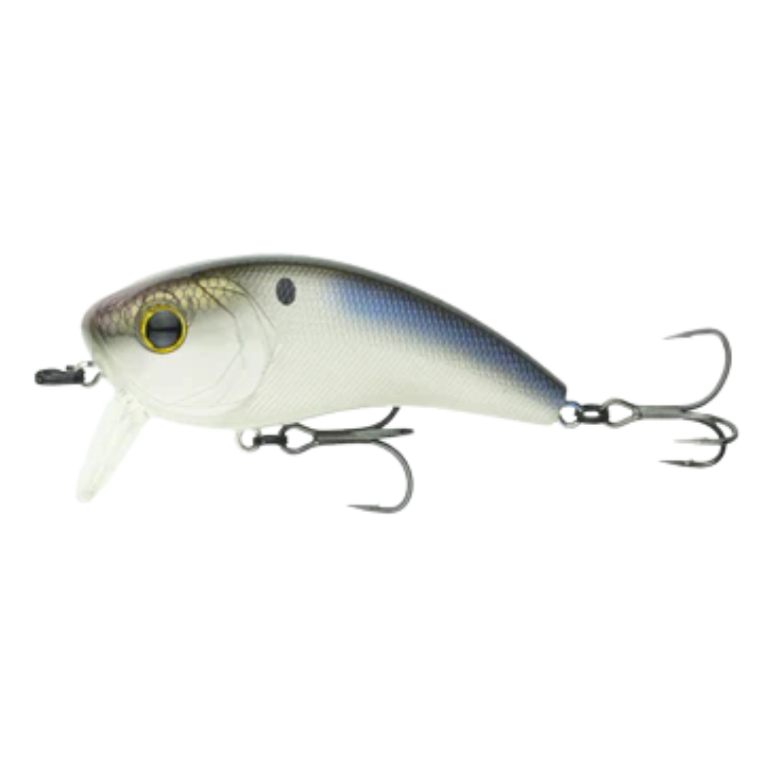 6th Sense Fishing Movement 80WK Wake Bait