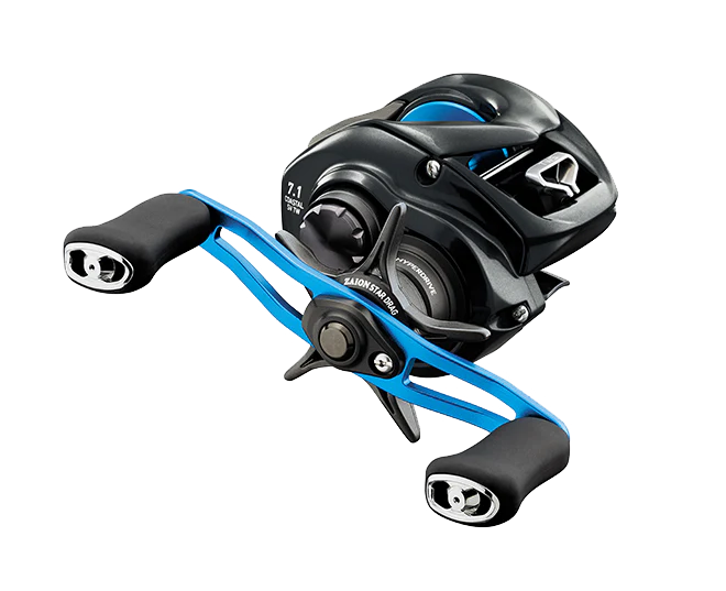 Daiwa 24 Coastal SV TW 150HL