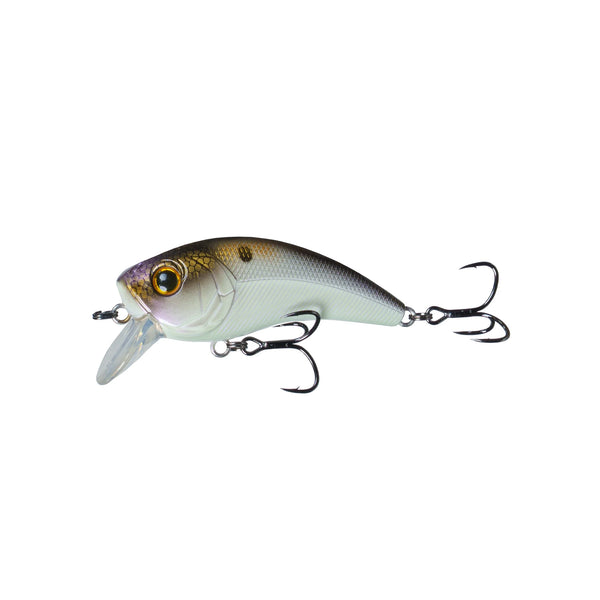 6TH SENSE - Movement 80X – Waterloo Rods