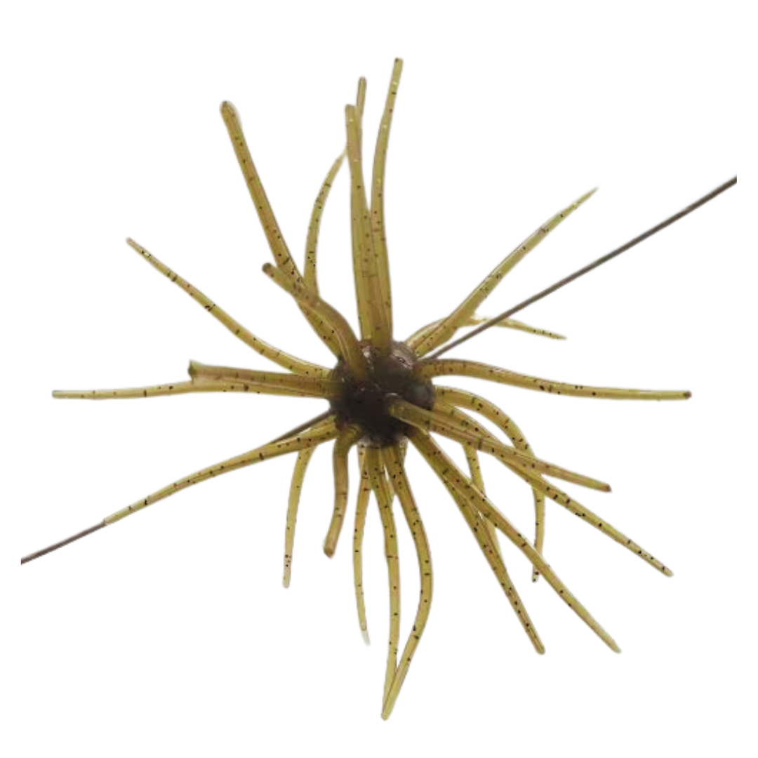 Coike 17MM – Waterloo Rods