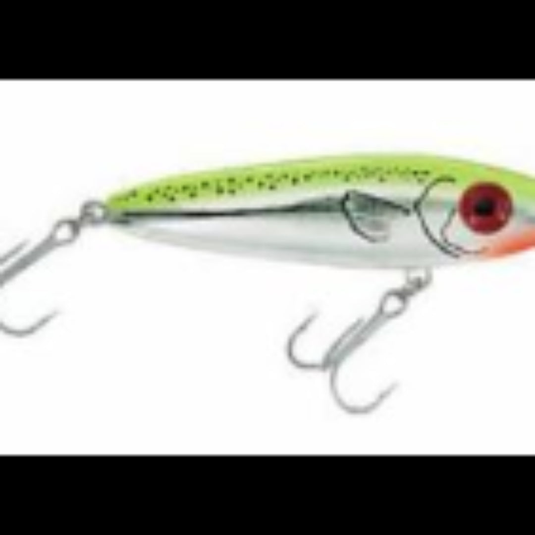 dog swallowed fish lure MirrOlure She Dog 83MR Surface Walker – Waterloo Rods