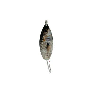 Aqua Dream Weedless Spoon -3/8oz - Silver Mullet