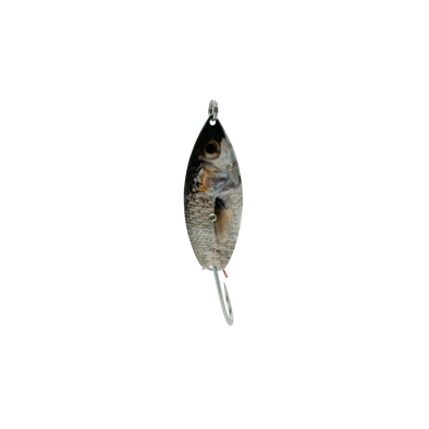 Aqua Dream Weedless Spoon -1/4oz - Silver Mullet