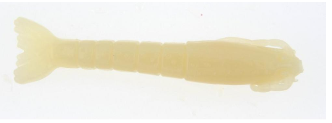 Berkley Gulp! Saltwater Shrimp 6 Count - 3 inch